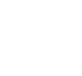 Consultant